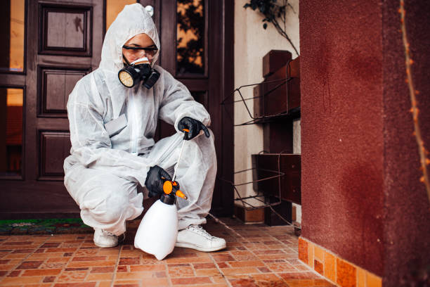 Reliable Cockroach Control contractor in Seffner, FL by Nex Pest Control